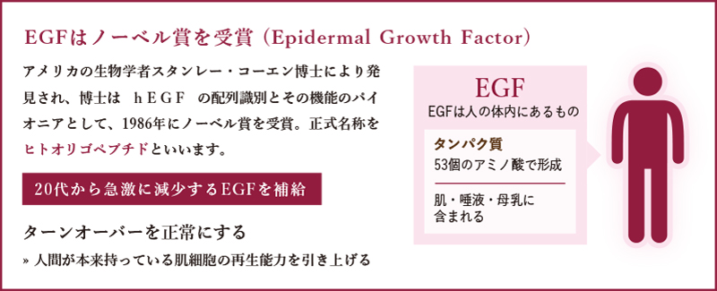 EGFはノーベル賞を受賞 (Epidermal Growth Factor)
